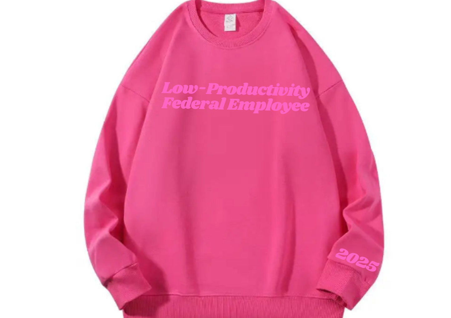 Trending Custom Puff Sweatshirt β Low-Productivity Federal Employee | 2025 Sleeve Print | Unisex Crewneck Pullover